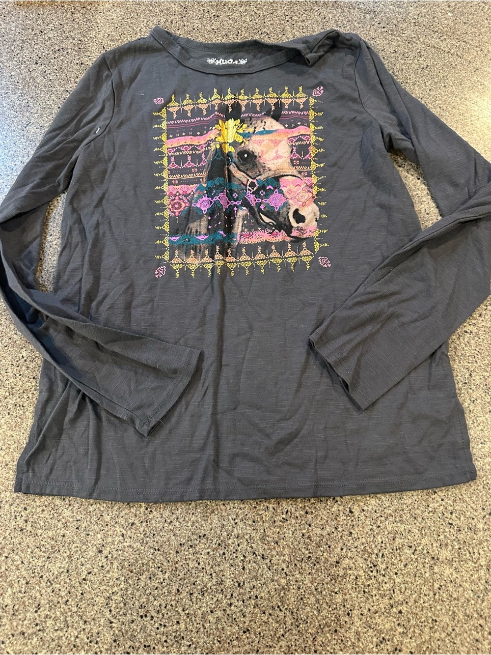 Gray Long Sleeve Tee with Colorful Horse Graphic